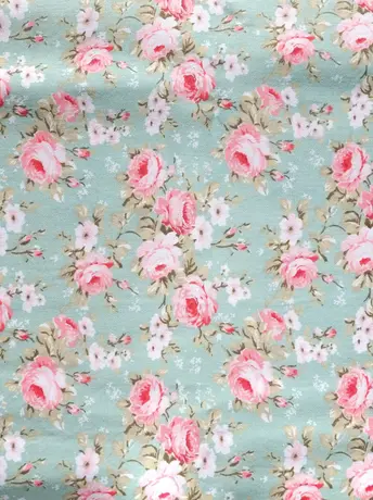 Rosas Vintage
