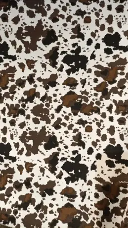 Vaca