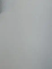 Gris plata